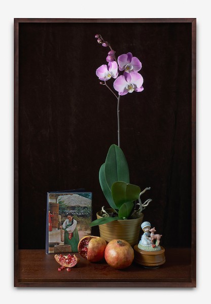http://tommycha.com/files/gimgs/16_orchid-framed---mock.jpg